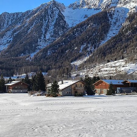 Petit Royal - Appartamento Charmant Per 6 Persone - Con Giardino E Balcone - Maisons De Charme Champoluc Exterior foto